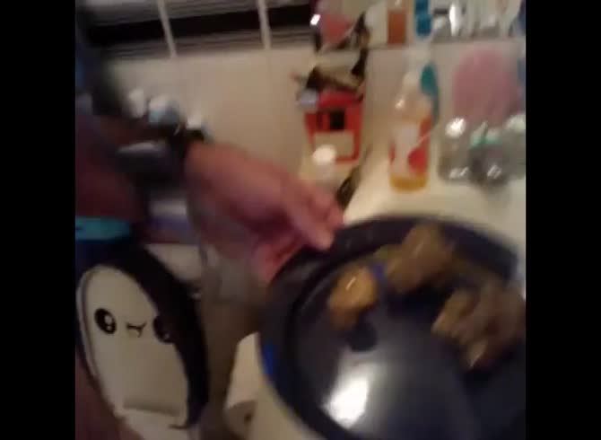 Video :Slut shit on the plate and served it as dinner
